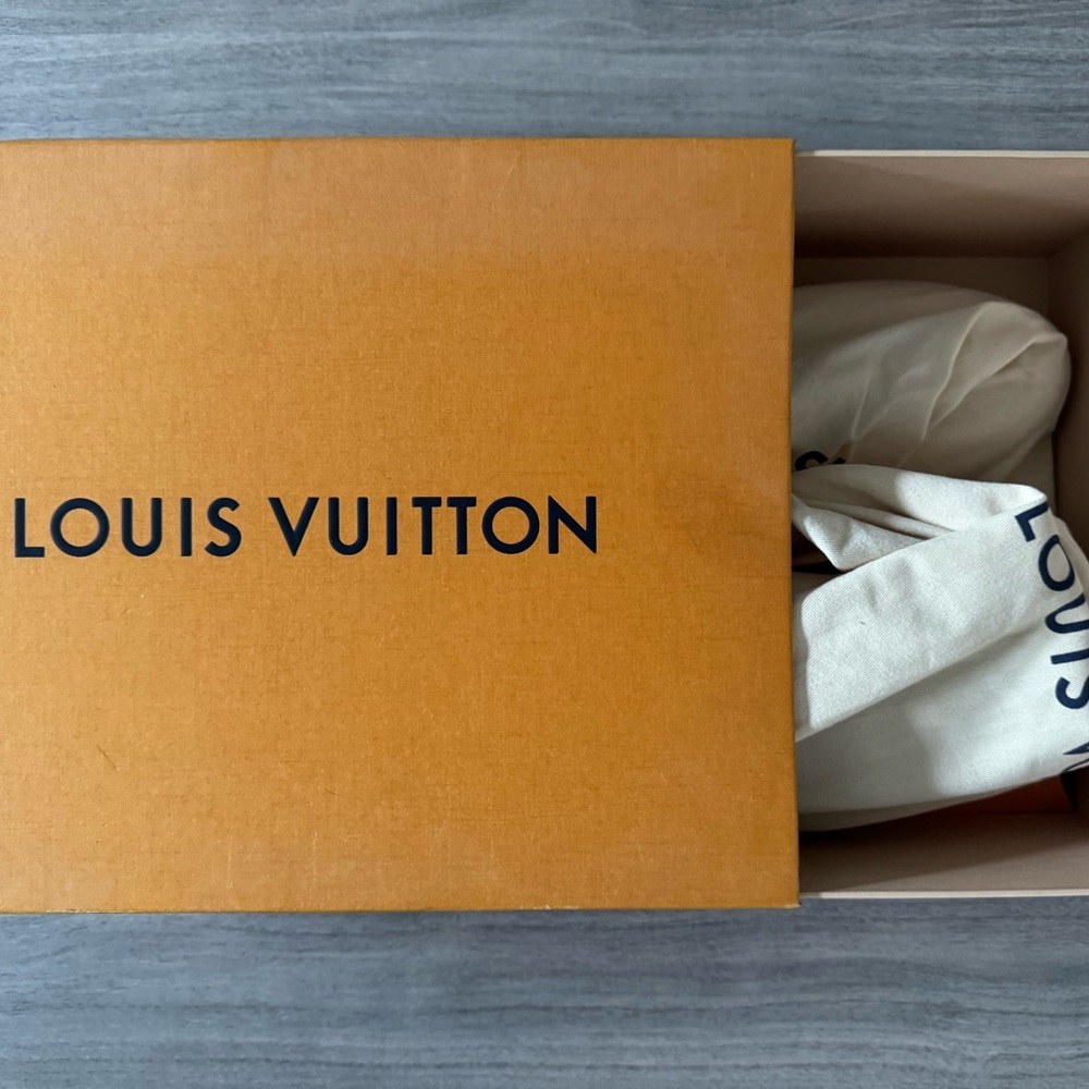 Louis Vuitton Men's Shoes in Box